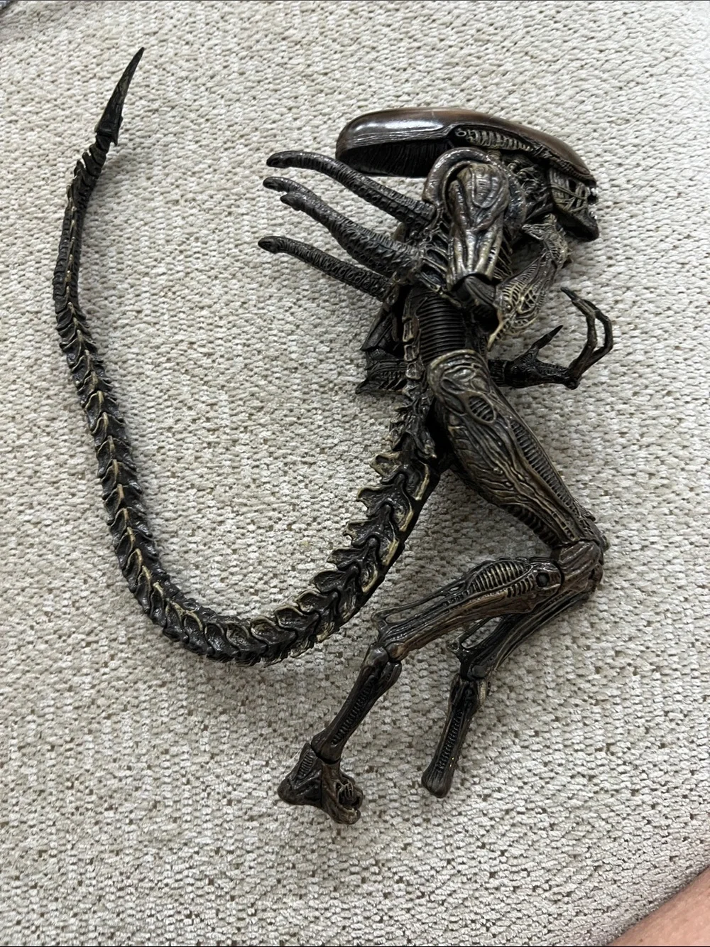 Neca Alien Resurrection Xenomorph Warrior Figure Predator